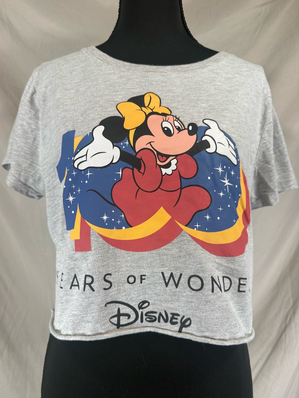 Disney 100 Years‎ of Wonder Cropped Graphic T-Shirt - Heather Gray - Small